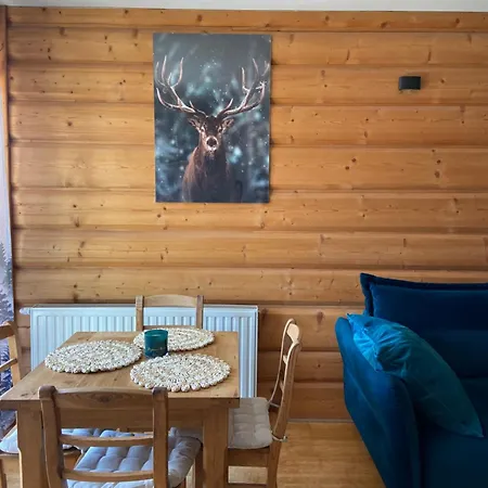 Zakopane Διαμέρισμα *